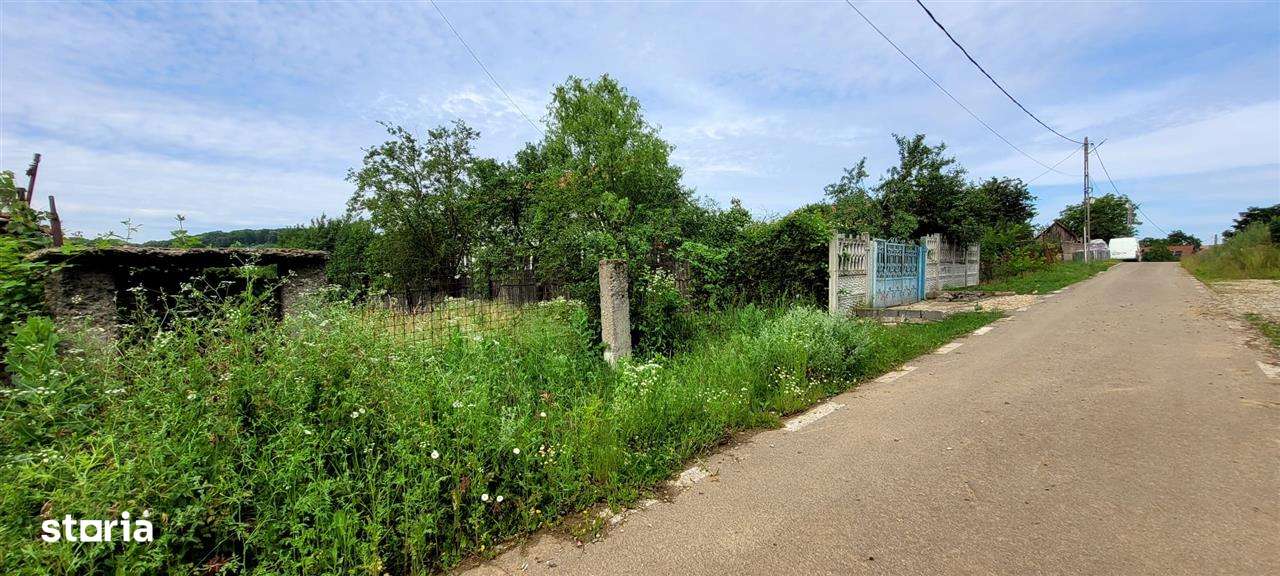 Teren intravilan,Betfia,Zona Caii din Vale - Imagine principală: 3/4