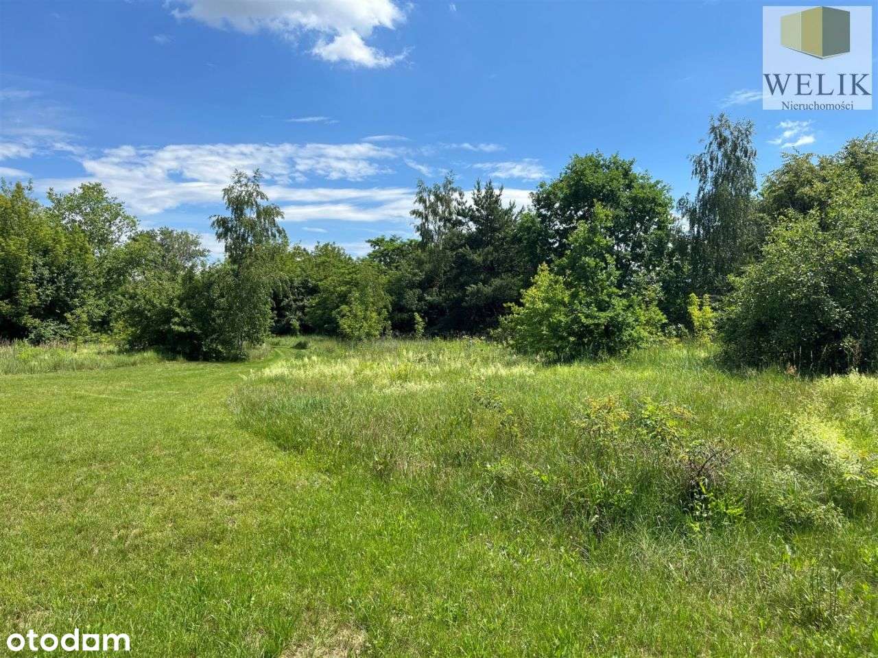 Działka komercyjna - Pełny obrazek: 5/7