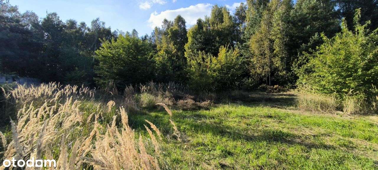 Piękna działka przy lesie ✨Pnb na willę-7