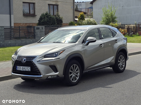 Lexus NX - 12