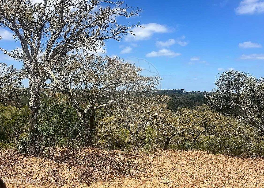 Terreno  para venda - Grande imagem: 5/5