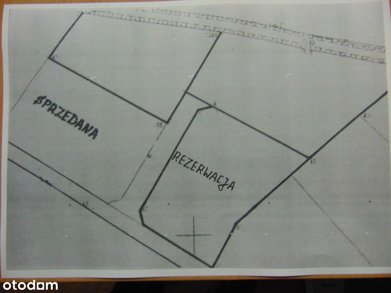 Działka, 1 000 m², Zielona Góra