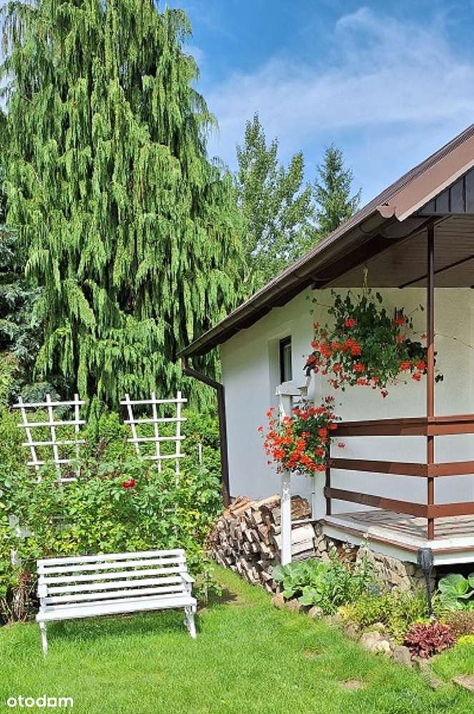 Piękna działka ROD nad jeziorem w Wierzchucinku. - Pełny obrazek: 5/20