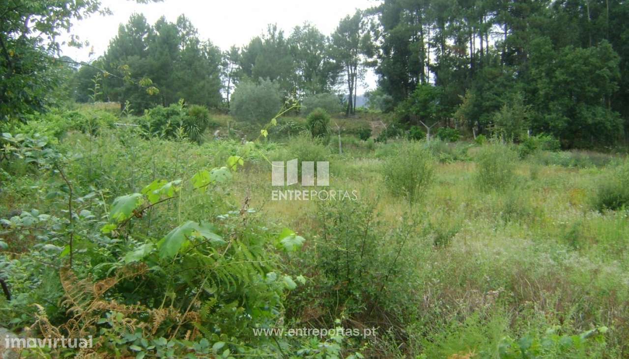 Venda Terreno, Ariz, Marco de Canaveses - Grande imagem: 3/5