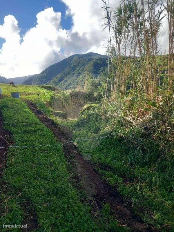 Terreno  para venda - Grande imagem: 4/6