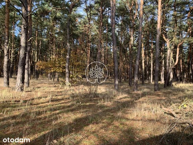 Zielona Przystań - Urokliwa Działka Budowlana