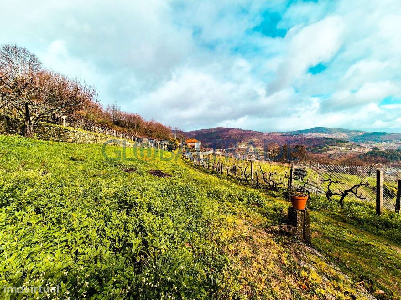 Quinta com 5250 m² & Moradia T1 em Pedra – Baião-44