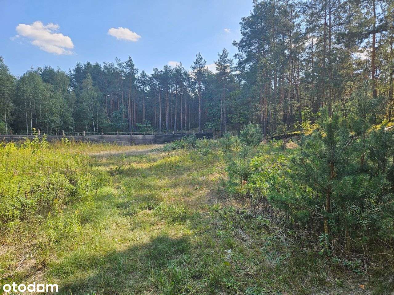 Działka budowlana przy drodze asfaltowej