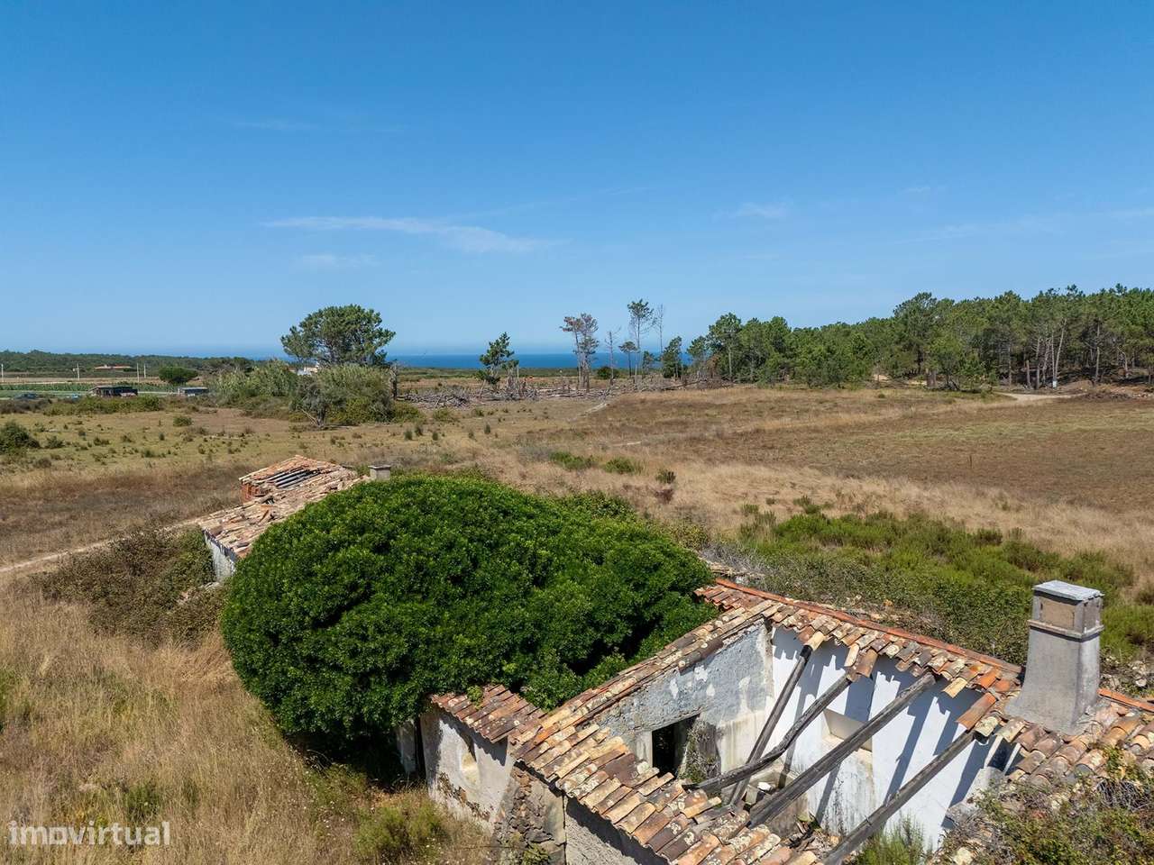 TERRENO RÚSTICO COM 2 RUINAS À BEIRA-MAR NO ROGIL, ALJEZUR - Grande imagem: 5/13