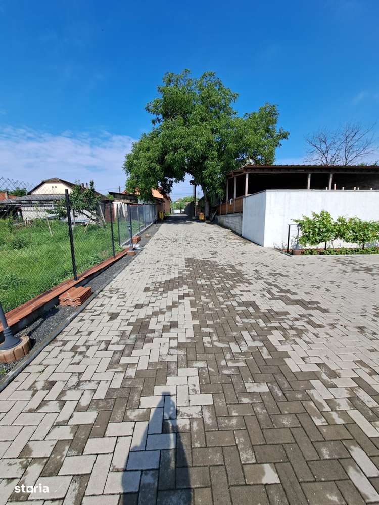 360 IMOBILIARE pune în vânzare o vilă superbă în Giarmata-9