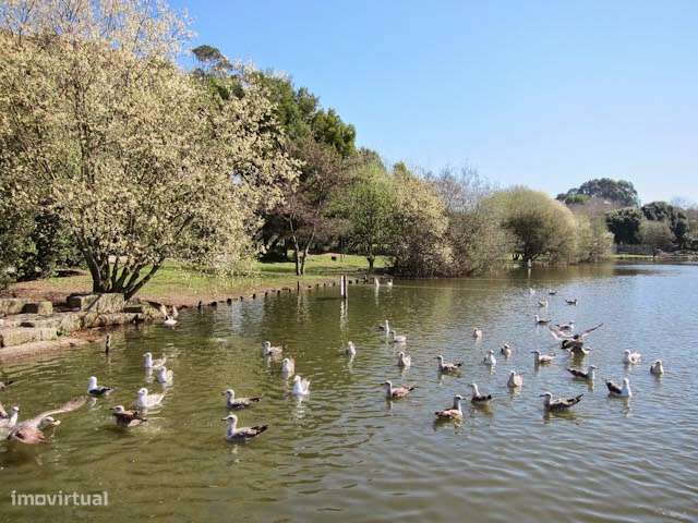 T3 C/Jardim Privativo em Condomínio Fechado de Alto Luxo  Foz do Douro - Grande imagem: 5/10