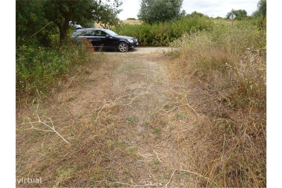 Terreno  para arrendamento - Grande imagem: 5/5