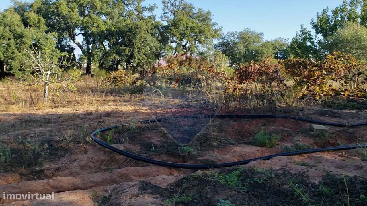 Terreno  para venda - Grande imagem: 3/7