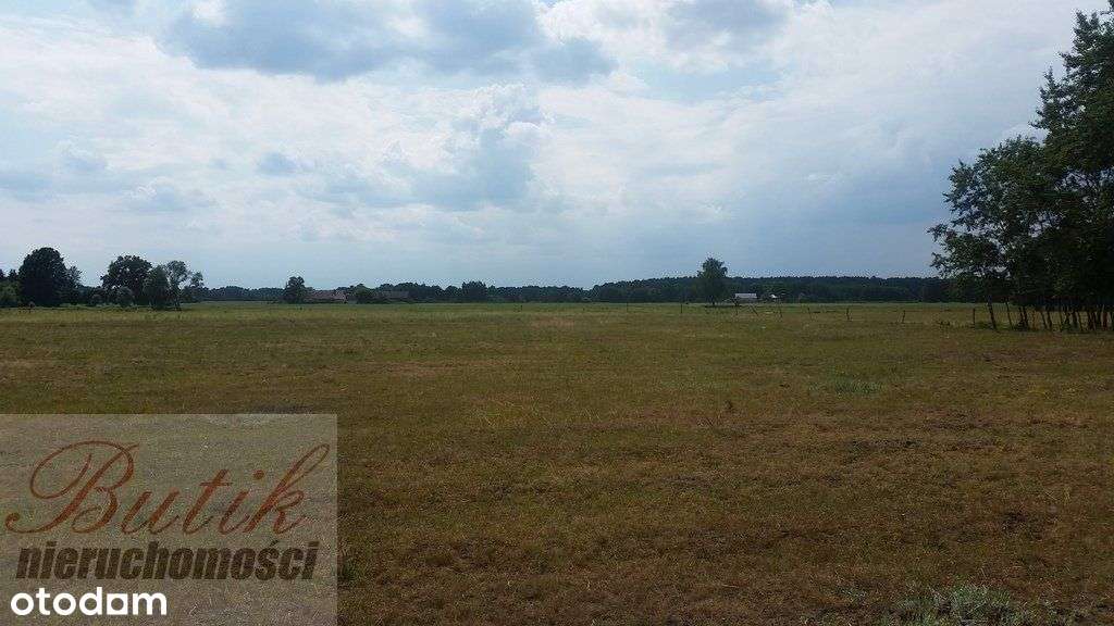 Trzciel Świdwowiec 5,4 h działka rolna ze studium - Pełny obrazek: 4/11