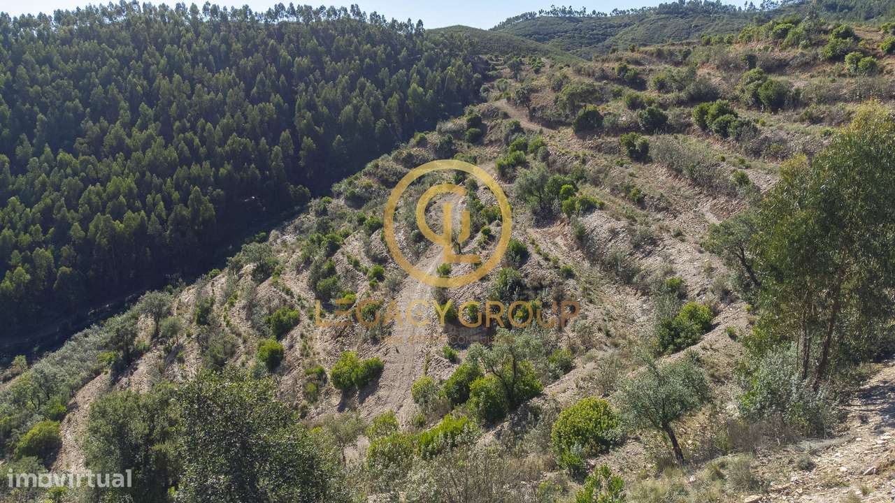 Propriedade de 10 hectares perto da barragem de Odelouca-13