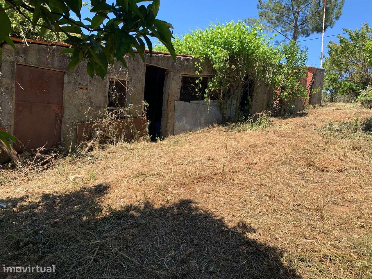 Quintinha - Grande imagem: 4/8