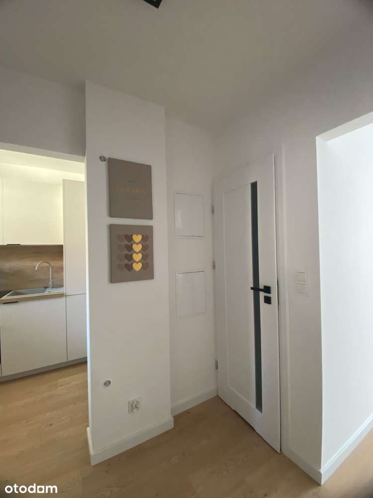 3 pokoje | Po kapitalnym remoncie | Centrum | !! bez prowizji !!-11