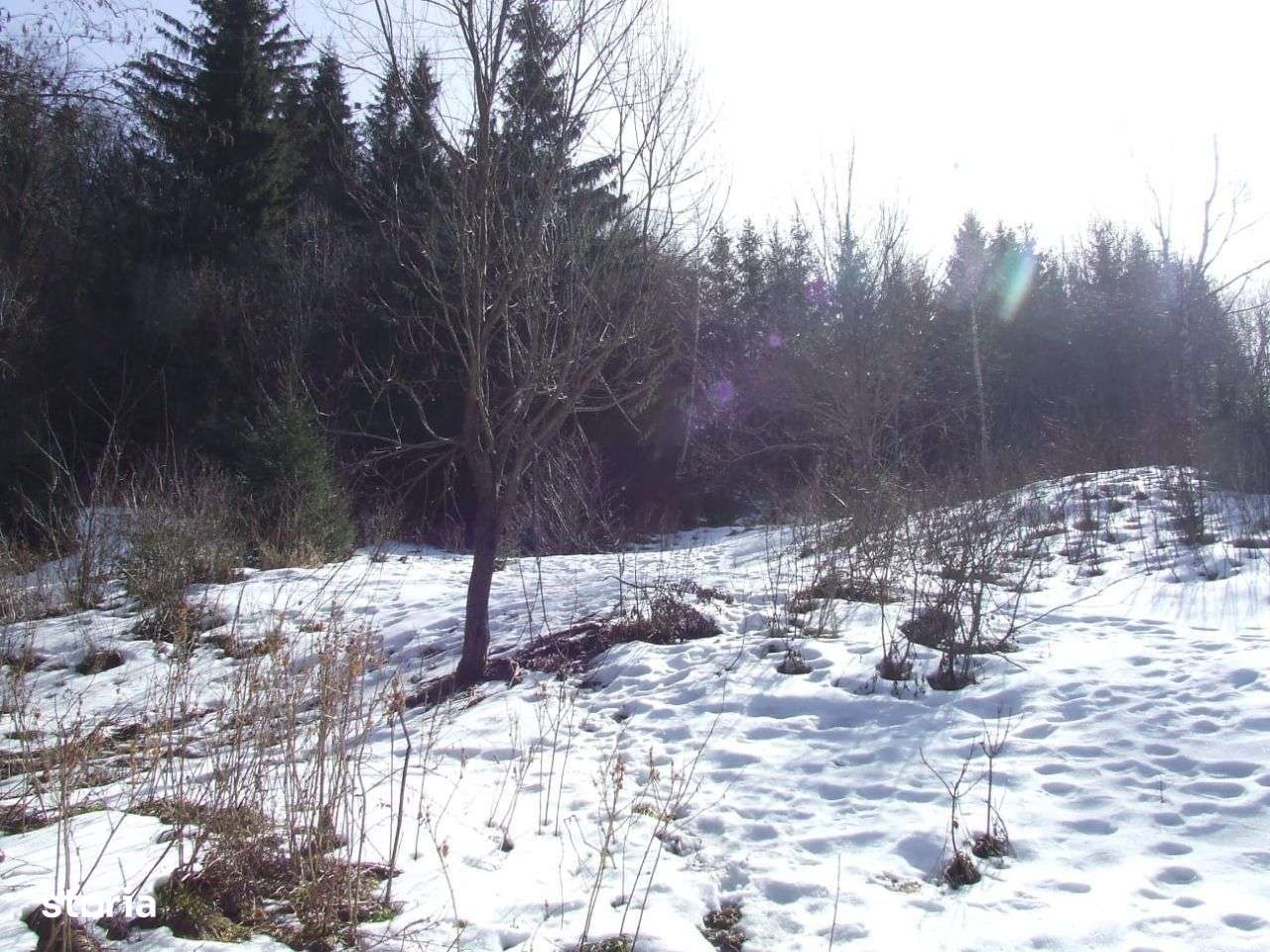 Teren de vânzare în zonă centrală cu acces asfaltat - Imagine principală: 2/14