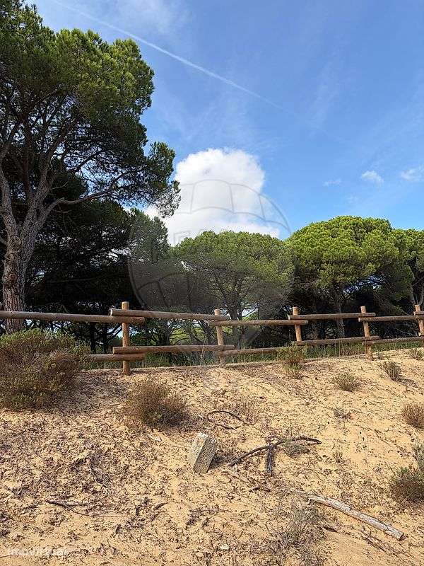 Terreno  para venda-12