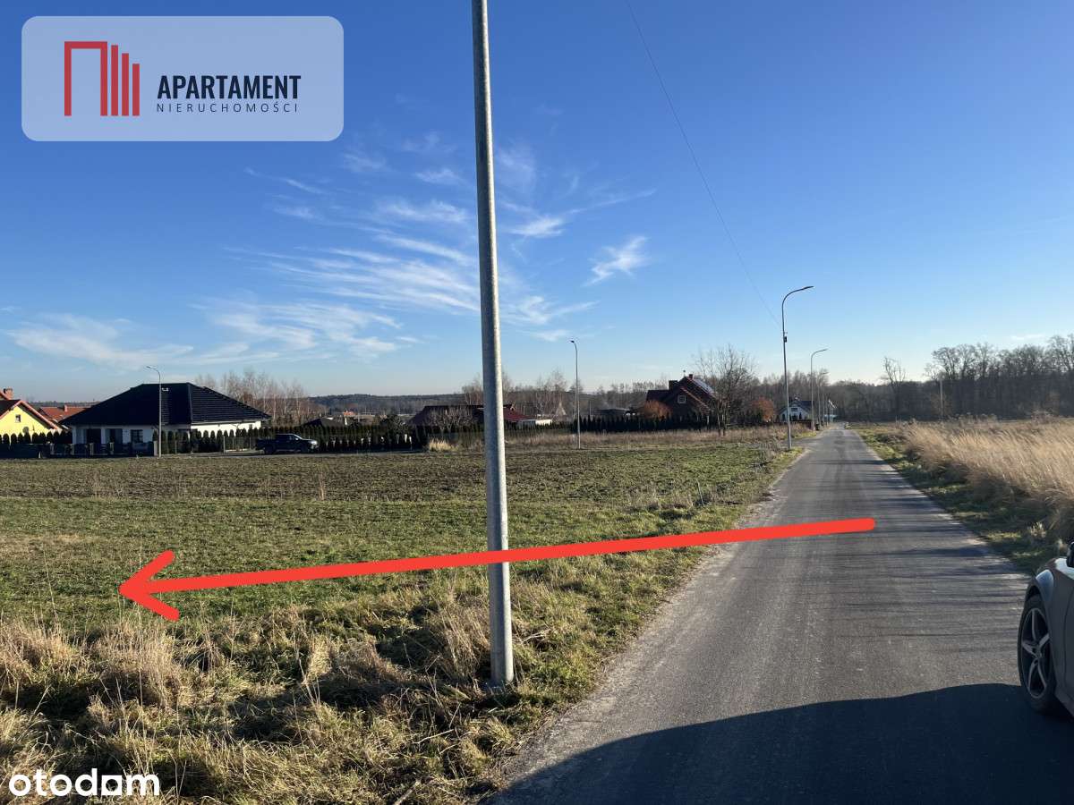 Duża działka w Dolinie Baryczy-media w drodze - Pełny obrazek: 5/10