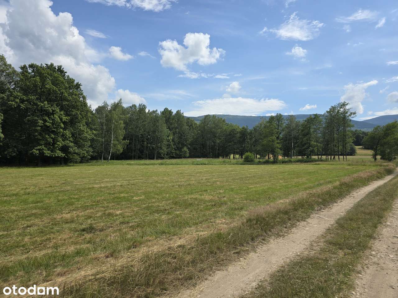 NOWA CENA - OKAZJA! Działka z widokiem na Śnieżkę-5