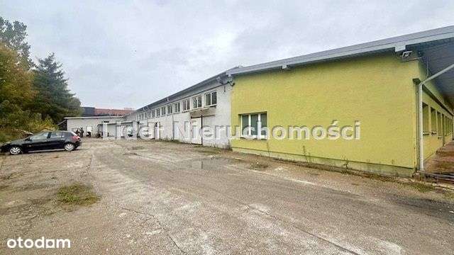 Wynajem HALI  przy CH TKALNIA,możliwe wydzielenie mniejszych powierzch - Pełny obrazek: 5/14