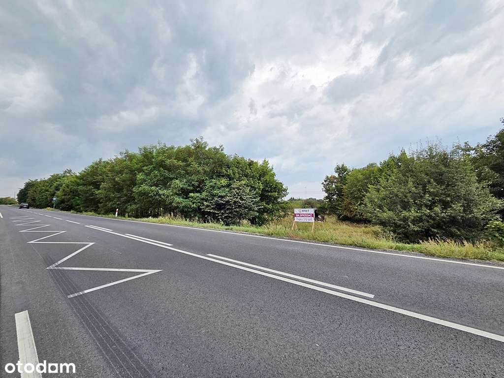 1,38ha pod USŁUGI i RZEMIOSŁO przy DK15 - Pełny obrazek: 4/20