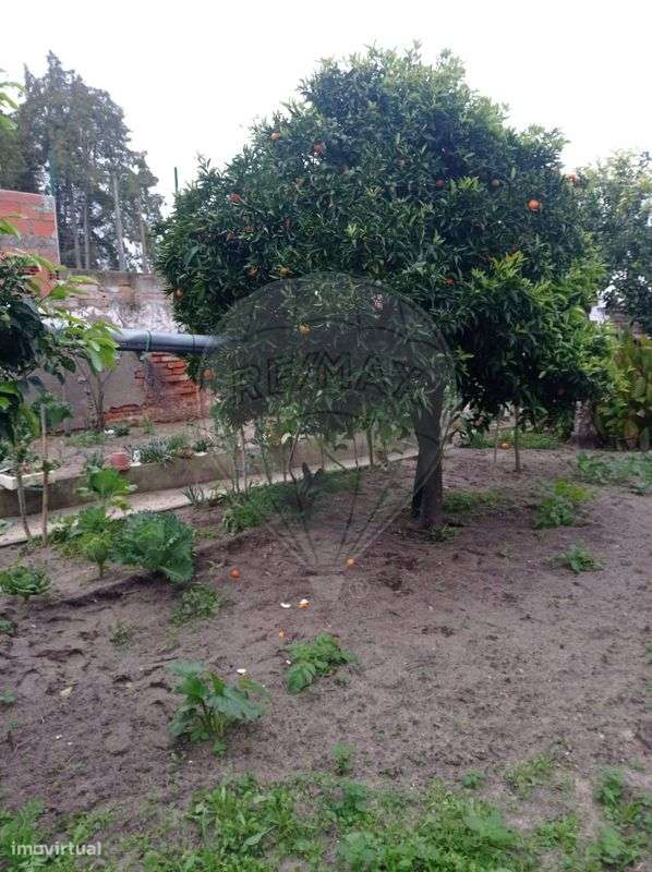 Moradia T2 para venda - Grande imagem: 3/5