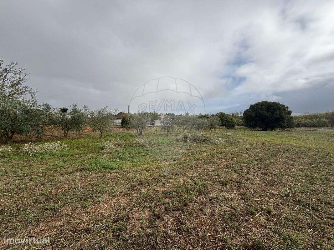 Terreno  para venda - Grande imagem: 4/8