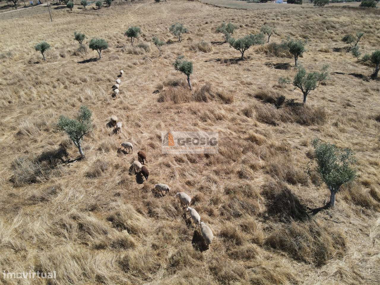 Quintinha T4 Venda em Ourique,Ourique-23