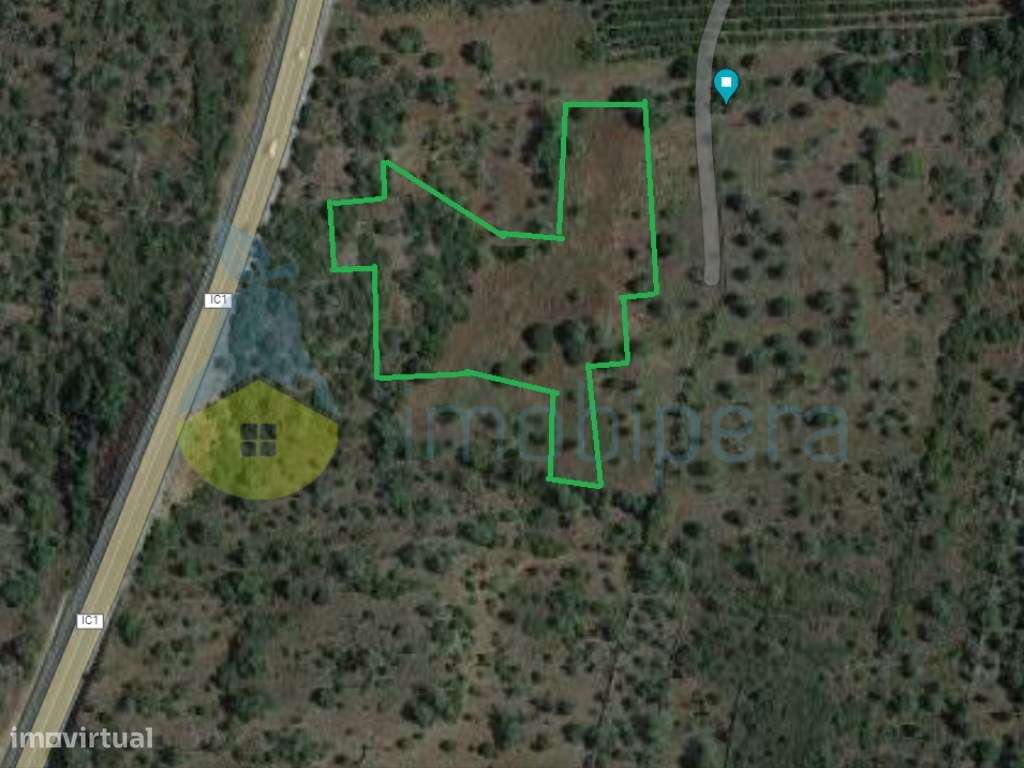 TERRENO RÚSTICO ZONA AGRÍCOLA - Grande imagem: 4/4