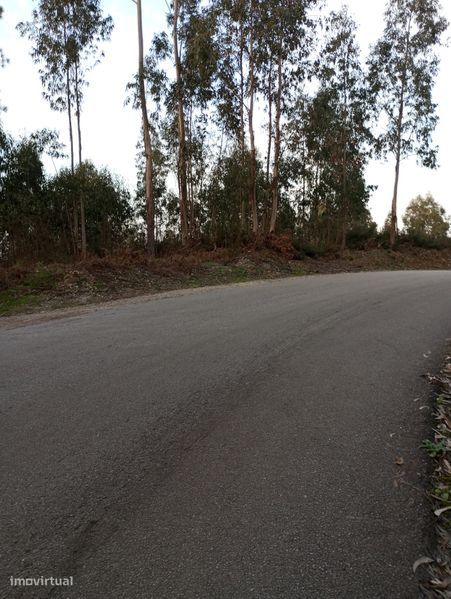 Ótimo terreno com 60 metros de frente á estrada