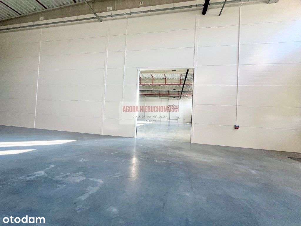 Magazyn 1910 m2 Balice 2 doki + brama "0" 18 zł/m2 - Pełny obrazek: 3/6