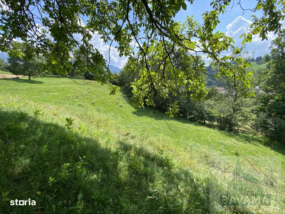 Teren intravilan de vanzare, cu vedere catre Castelul Bran - Imagine principală: 4/6