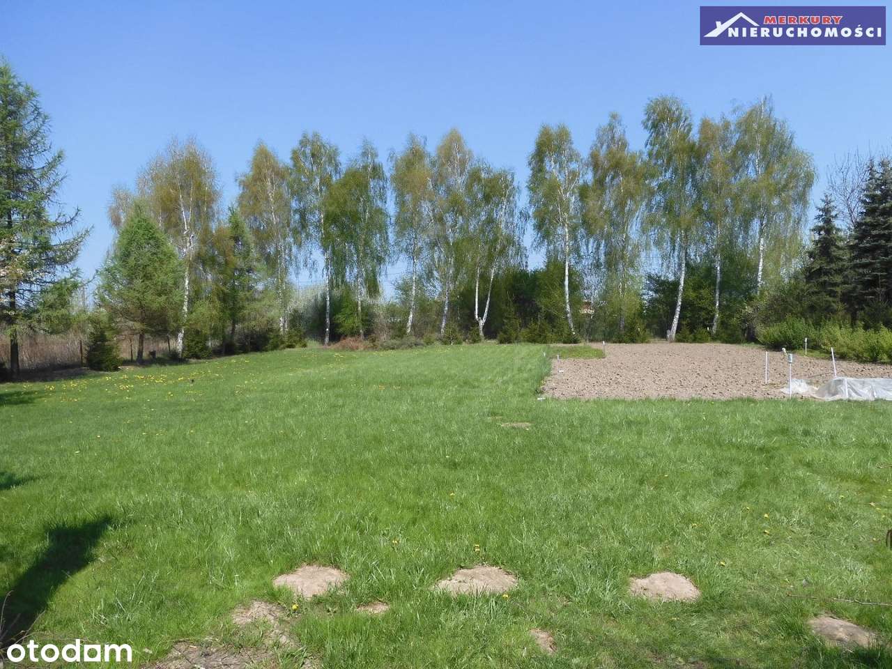 Dom na sprzedaż, Ostrowiec Świętokrzyski, 8 pokoi - Pełny obrazek: 5/15