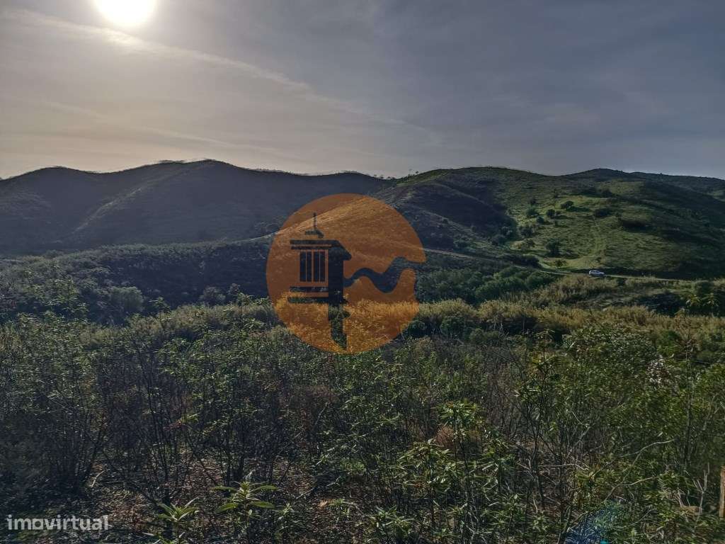 TERRENO COM 23.440 M2 - COM ESTUFAS - LINHA D'AGUA - TANOEIRO - CAS... - Grande imagem: 4/39