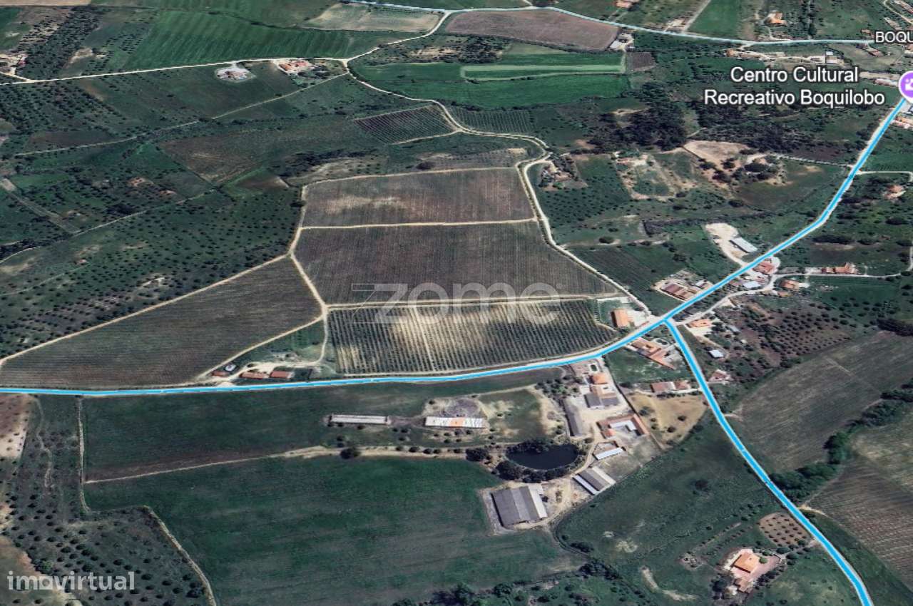 Quinta em Torres Novas-8