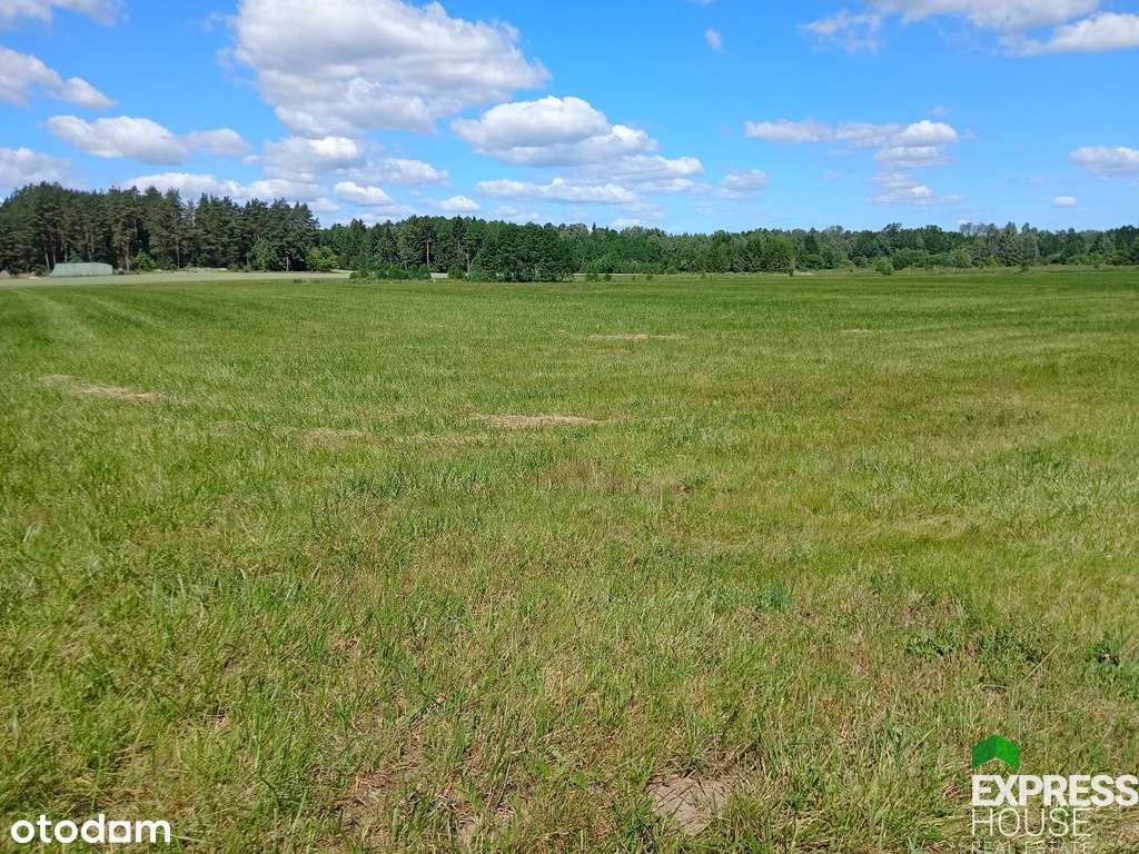 Wśród łąk i lasów. - Pełny obrazek: 4/6