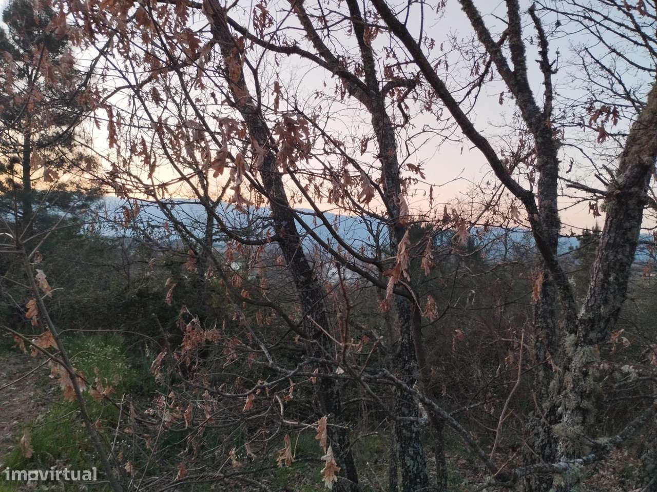 Terreno rustico em Dominga loba Peraboa-9