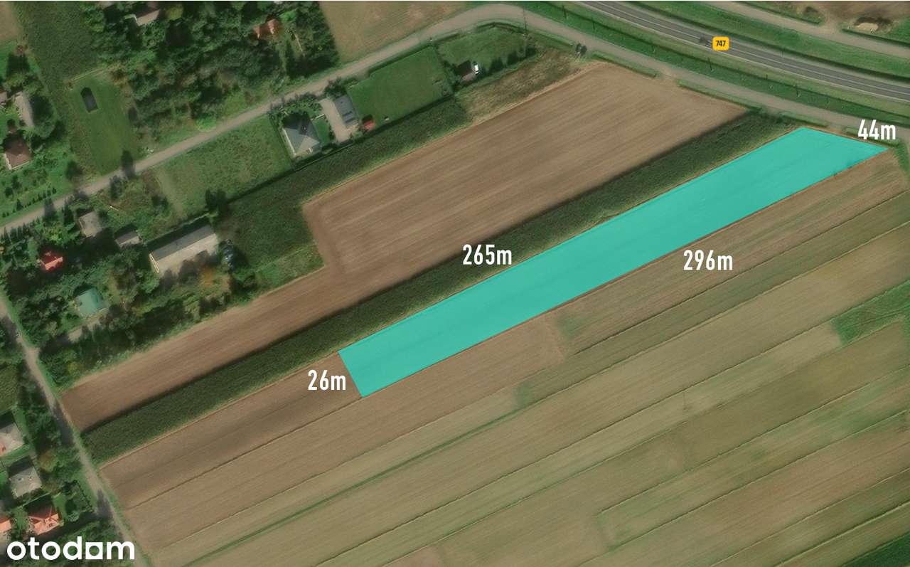 Działka w Radawcu Dużym, 7691 m2 - Pełny obrazek: 4/4