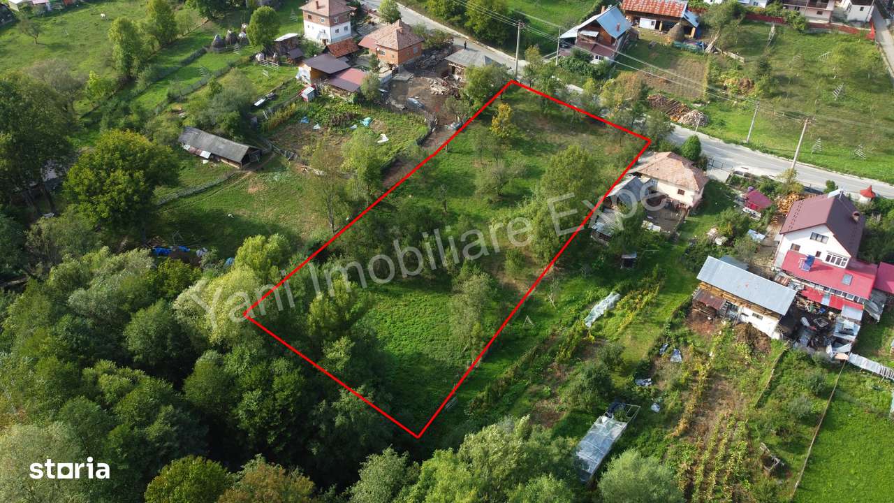 Teren de vânzare în comuna Arefu, județ Argeș.-5