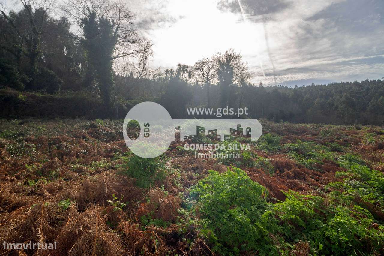 Terreno Agrícola em Vale São Martinho, Vila Nova de Famalicão - Grande imagem: 5/16