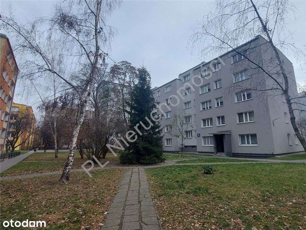 Chwyć za pędzel i stwórz mieszkanie swoich marzeń!-0