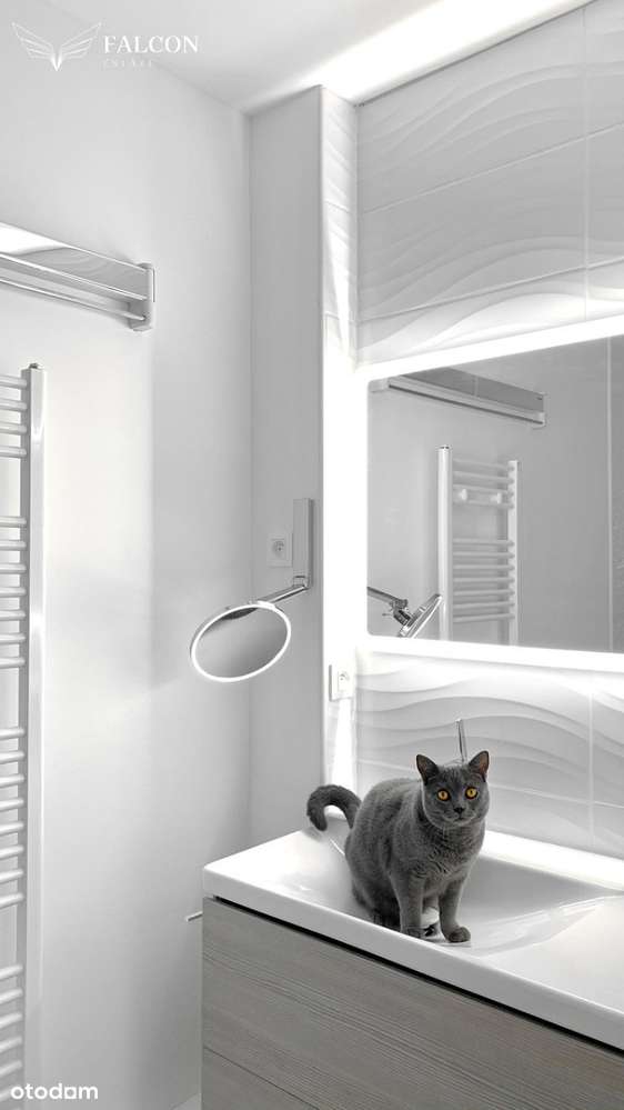 2 pokoje z balkonem, zielona okolica-3