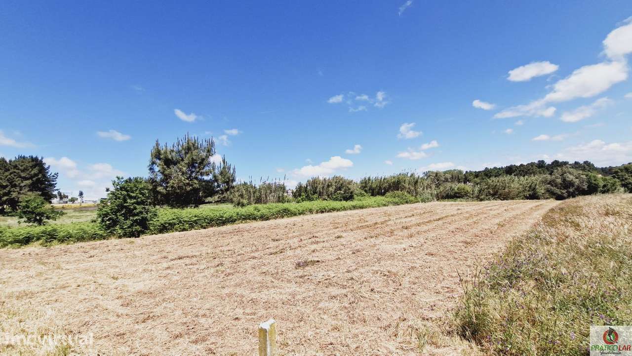 Terreno com Viabilidade de Construção em Montelongo da Areia - Grande imagem: 5/15
