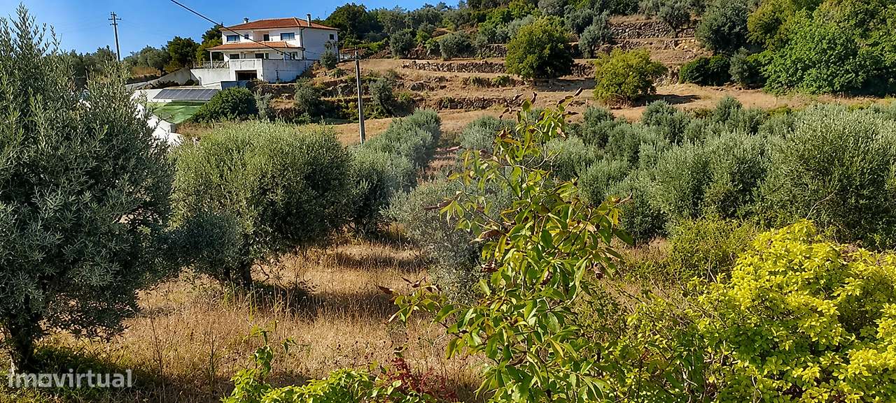 Terreno  para venda-5