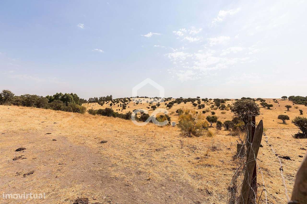 Terreno Rústico de 1,9 ha para Exploração Agrícola | Reguengos de Mons - Grande imagem: 5/13