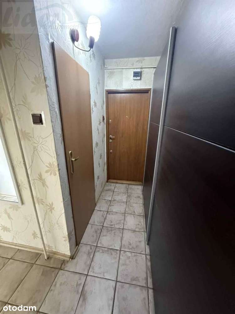 2 Pokoje , Dąbrowa-3