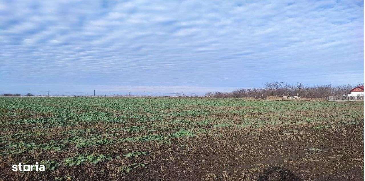 Vanzare teren Comuna Dragoș Vodă, sat Dragoș Vodă - Imagine principală: 3/5