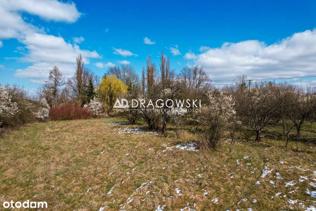 Atrakcyjna działka w Mrowiskach gm. Halinów 3 ha - Pełny obrazek: 4/8